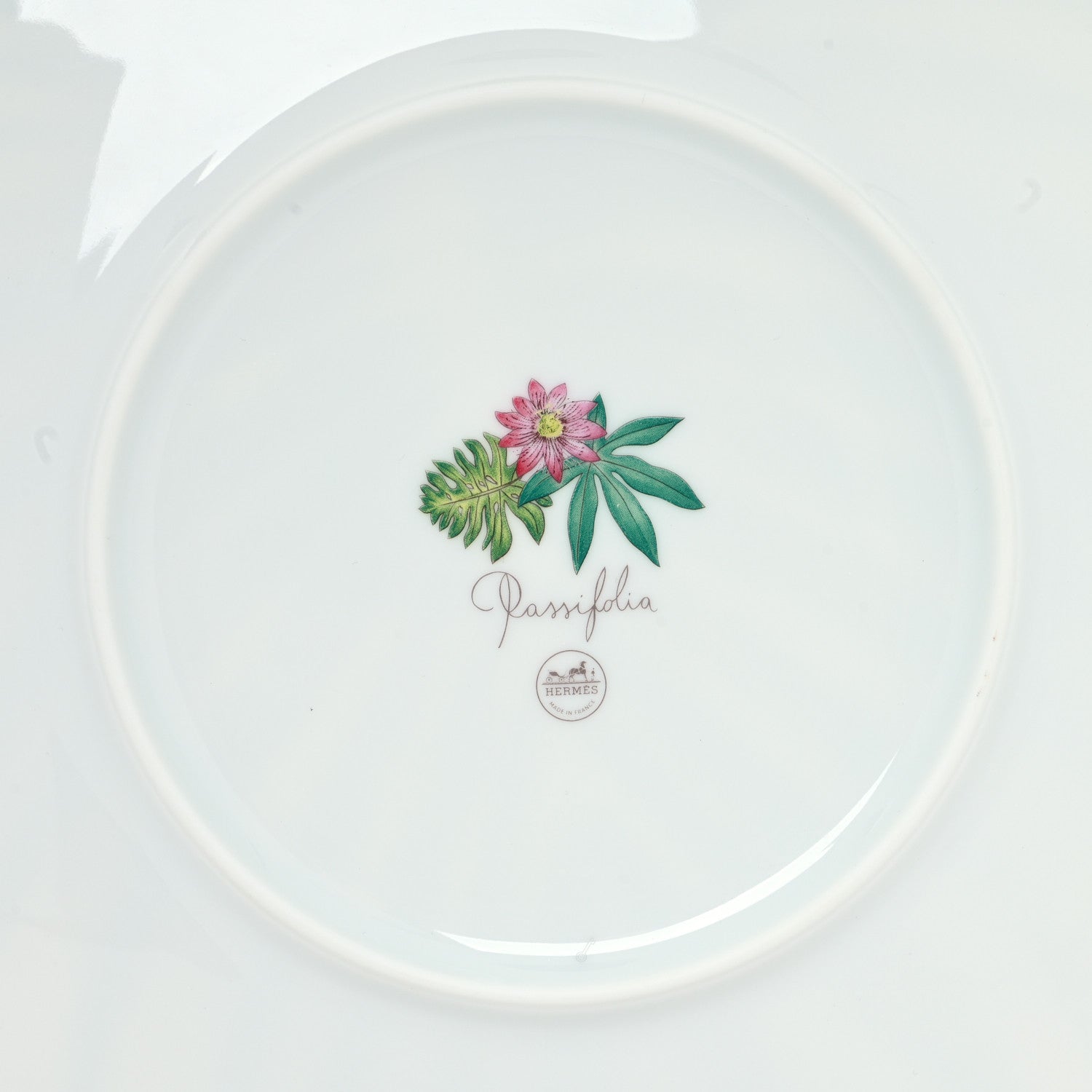 Hermes Porcelain Passifolia Dinner Plate 5 of 7