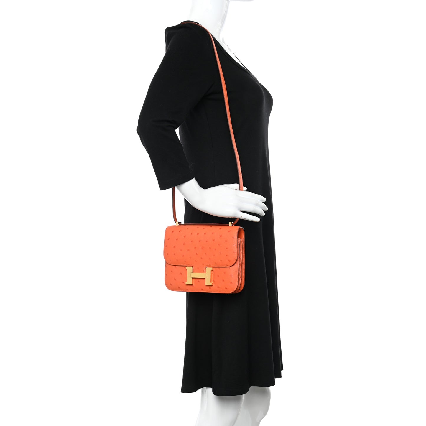Ostrich Constance 18 Tangerine