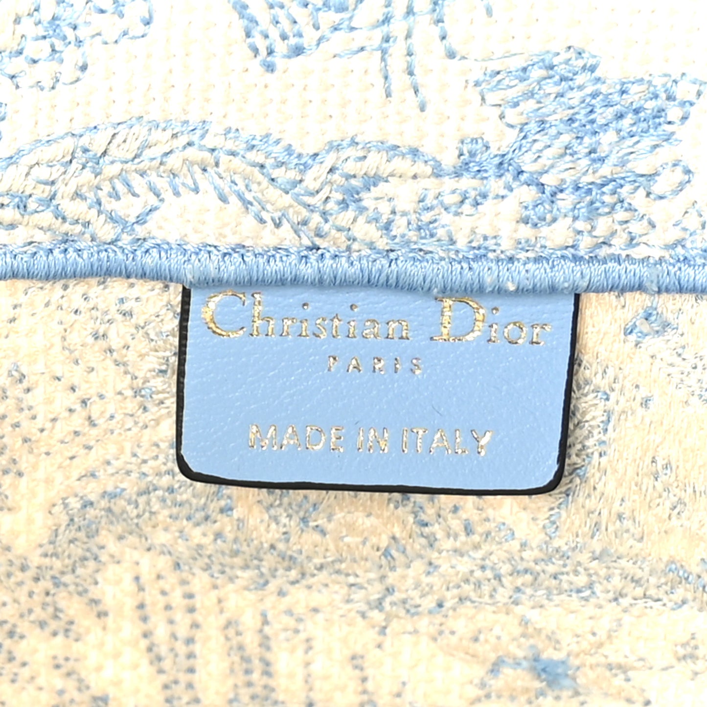 Canvas Embroidered Medium Dioriviera Toile De Jouy Book Tote Light Blue