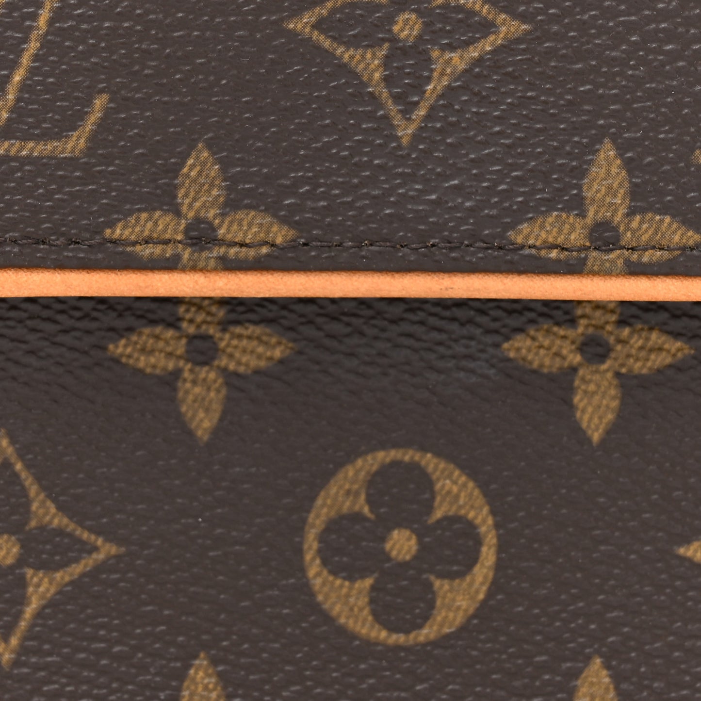 Monogram Pochette Florentine XS