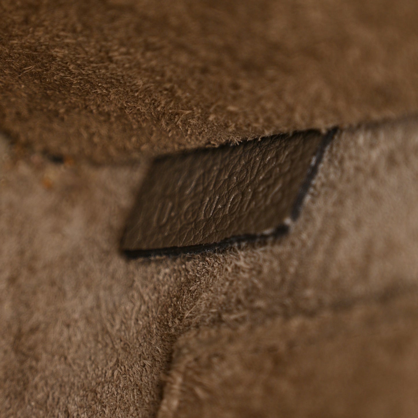 Drummed Calfskin Nano Luggage Souris
