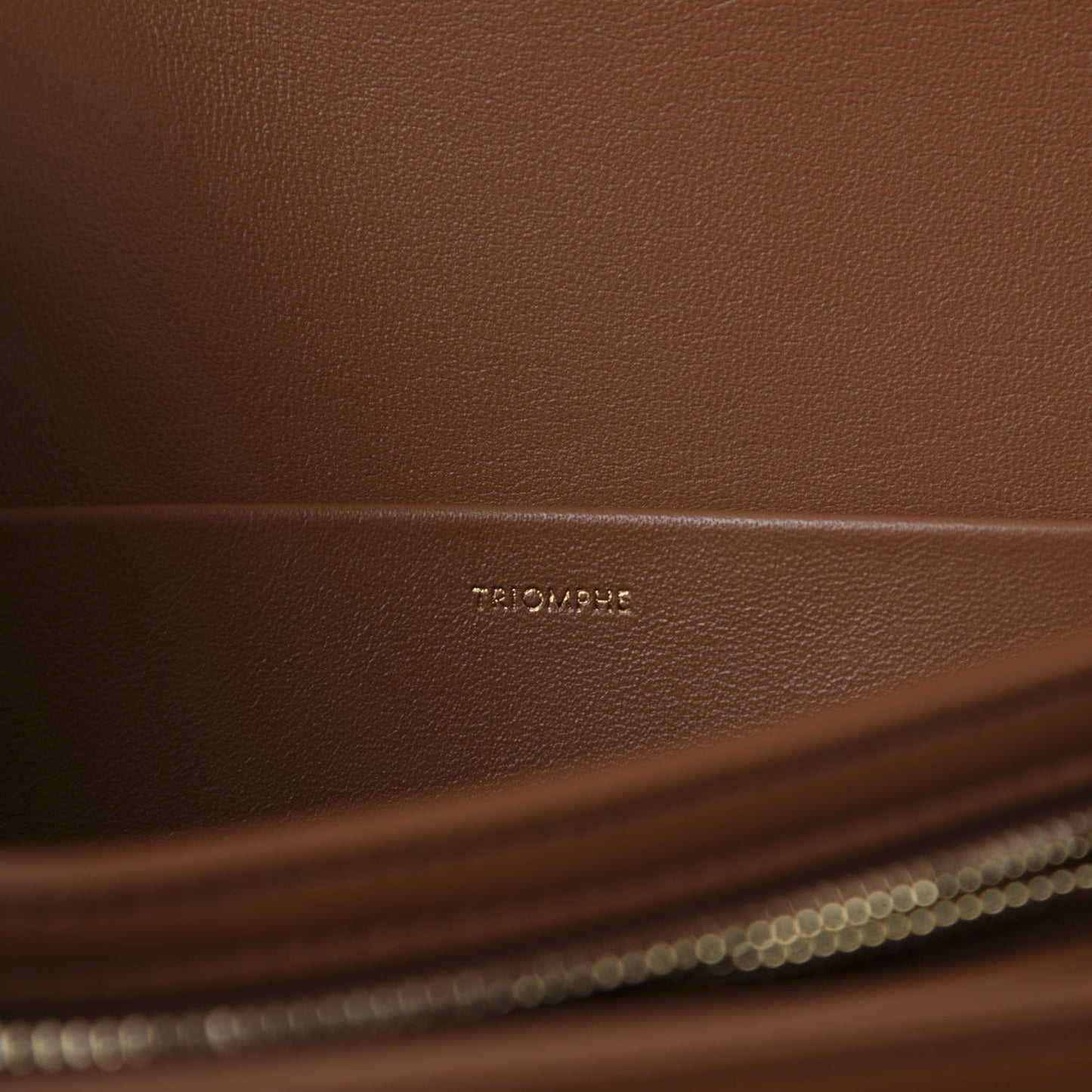 Calfskin Triomphe Canvas Medium Triomphe Tan