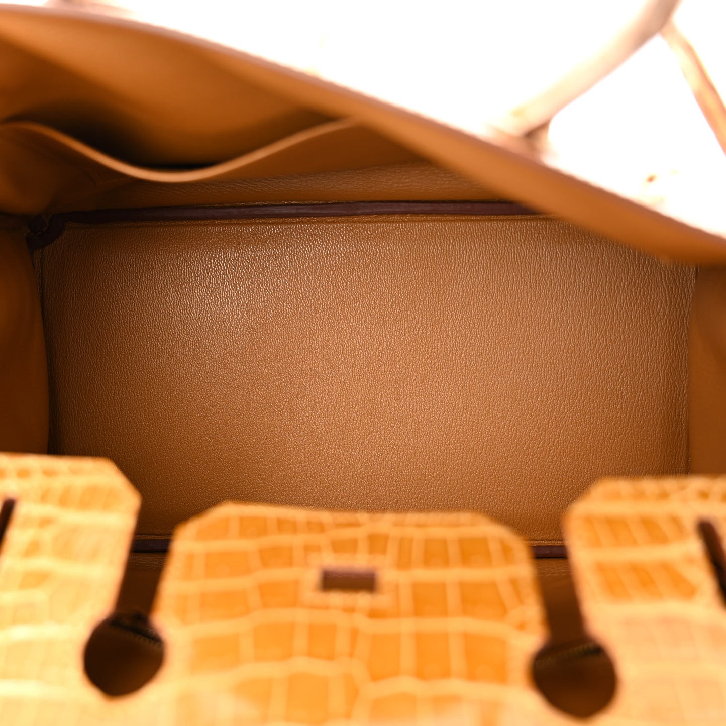 Shiny Porosus Crocodile Birkin 30 Tabac Camel