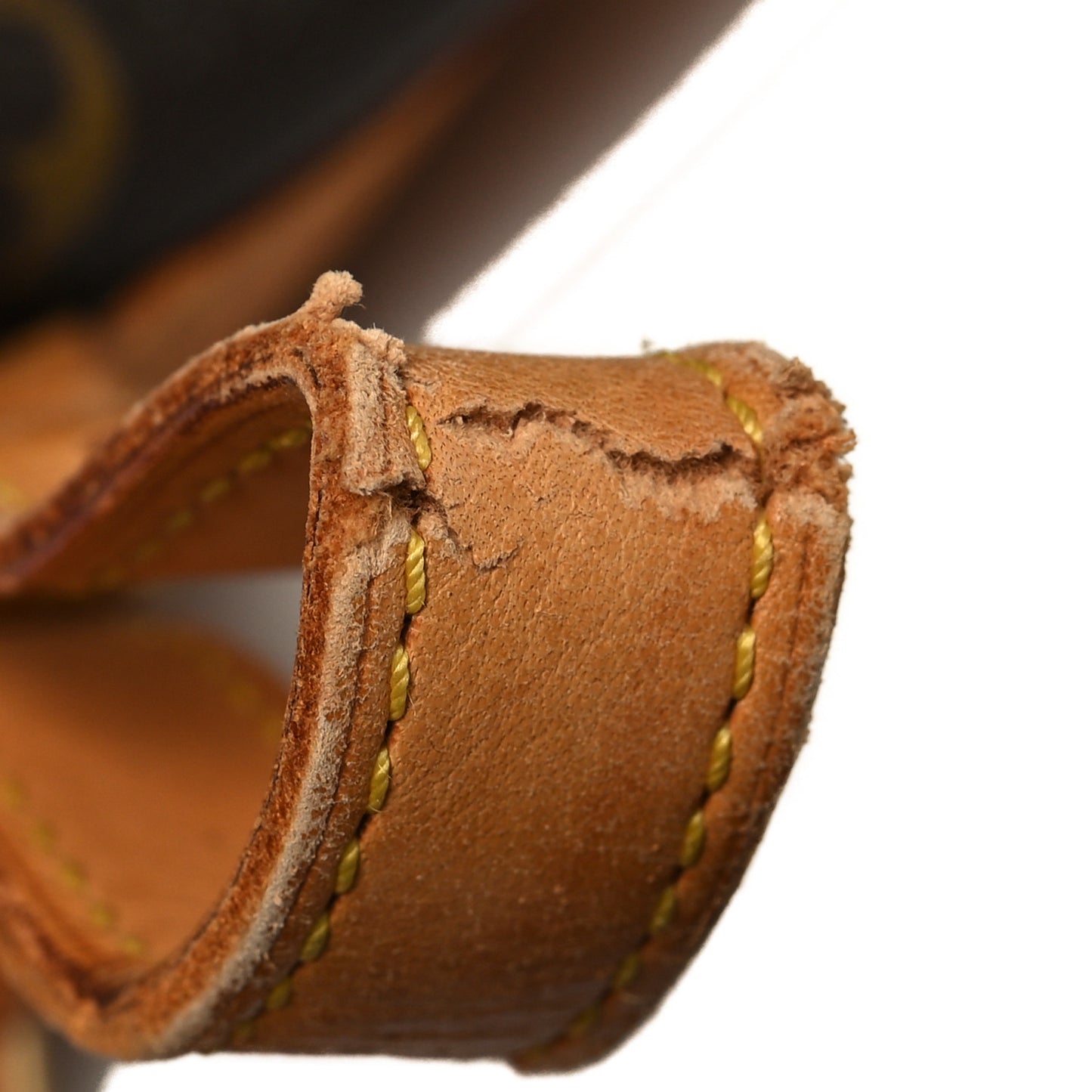 Monogram Montsouris GM Backpack