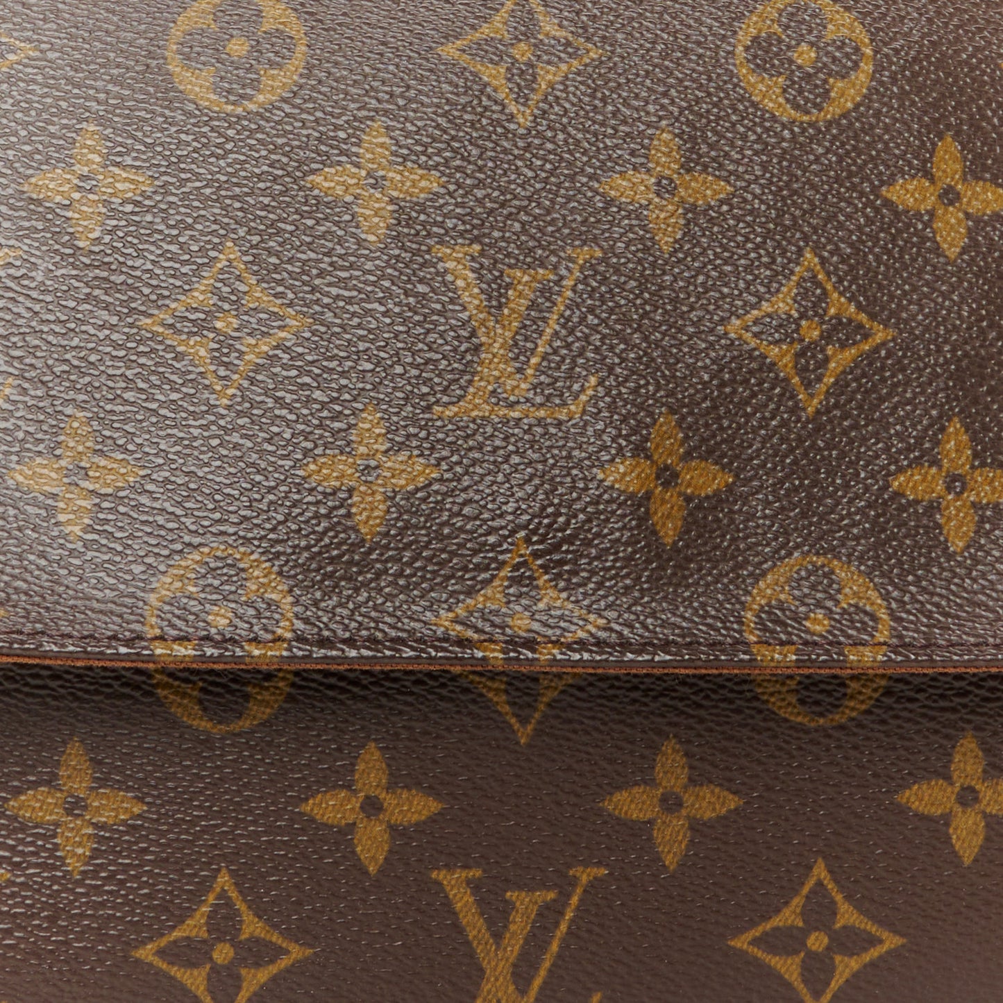 Monogram Mini Looping