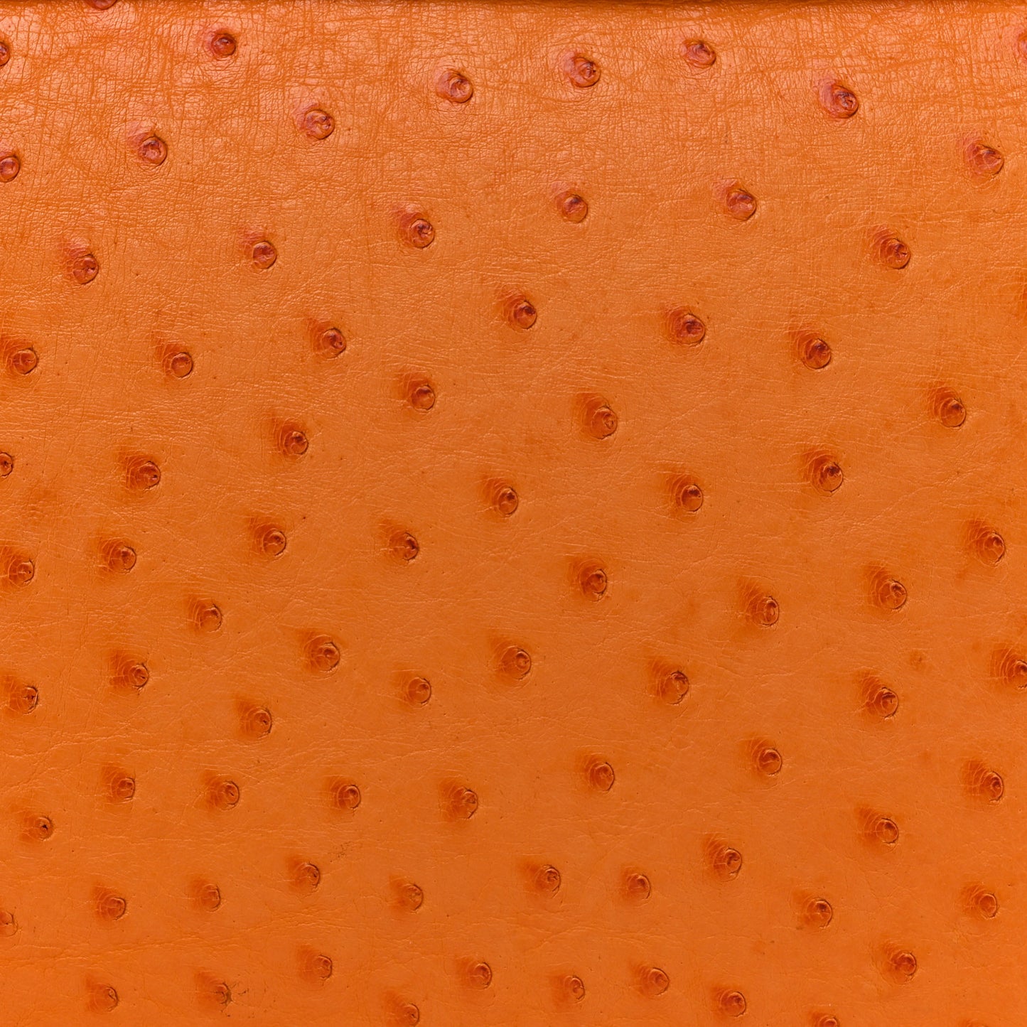 Ostrich Kelly Retourne 32 Orange