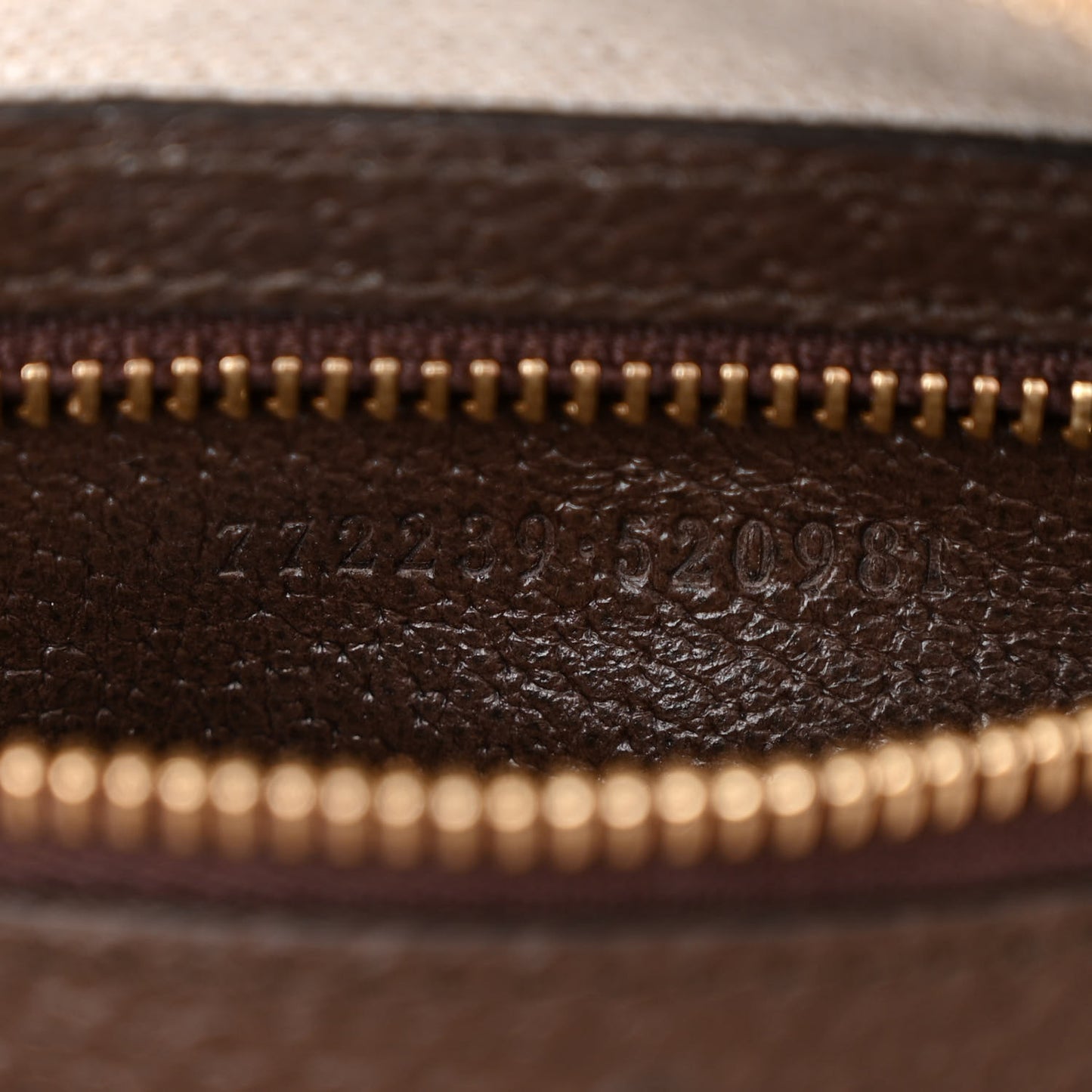 GG Supreme Monogram Textured Dollar Calfskin Mini Ophidia Flap Shoulder Bag Beige Ebony New Acero