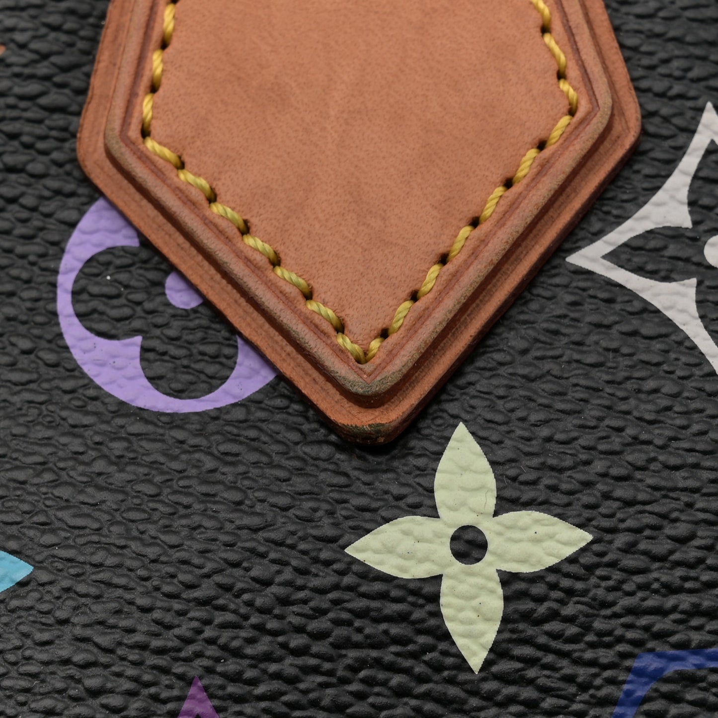 Monogram Multicolor Audra Black
