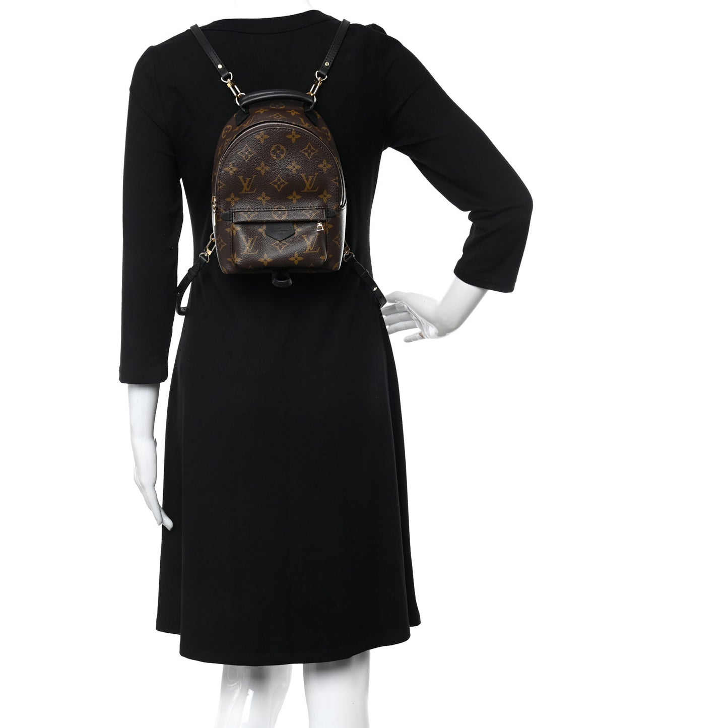 Monogram Palm Springs Backpack Mini