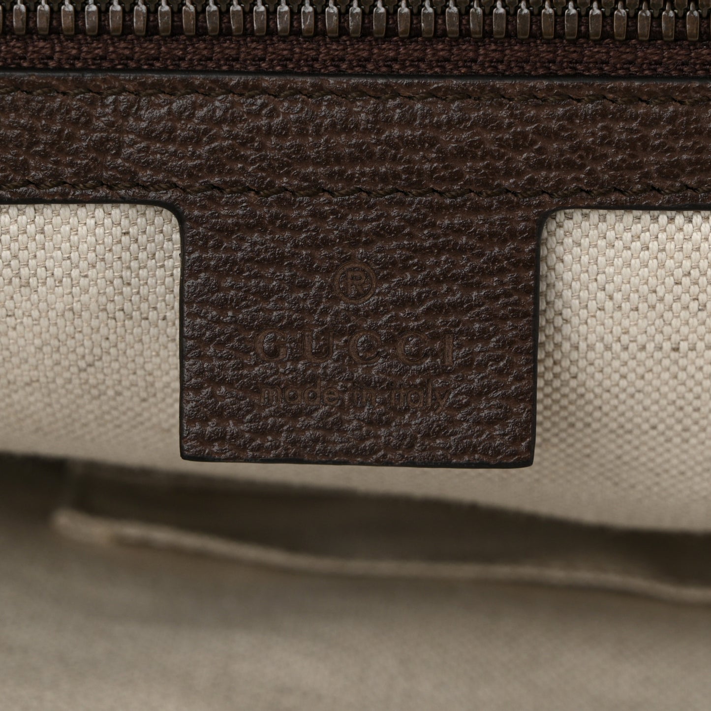 GG Supreme Monogram Medium Ophidia Day Backpack Brown