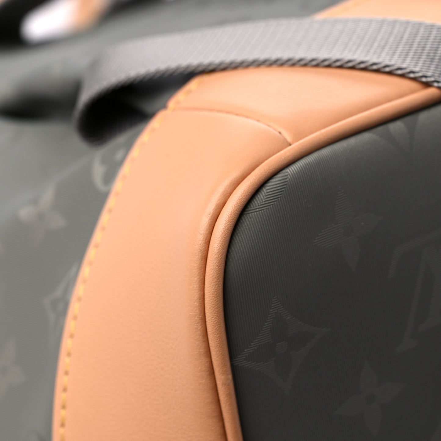 Monogram Titanium Backpack Tote