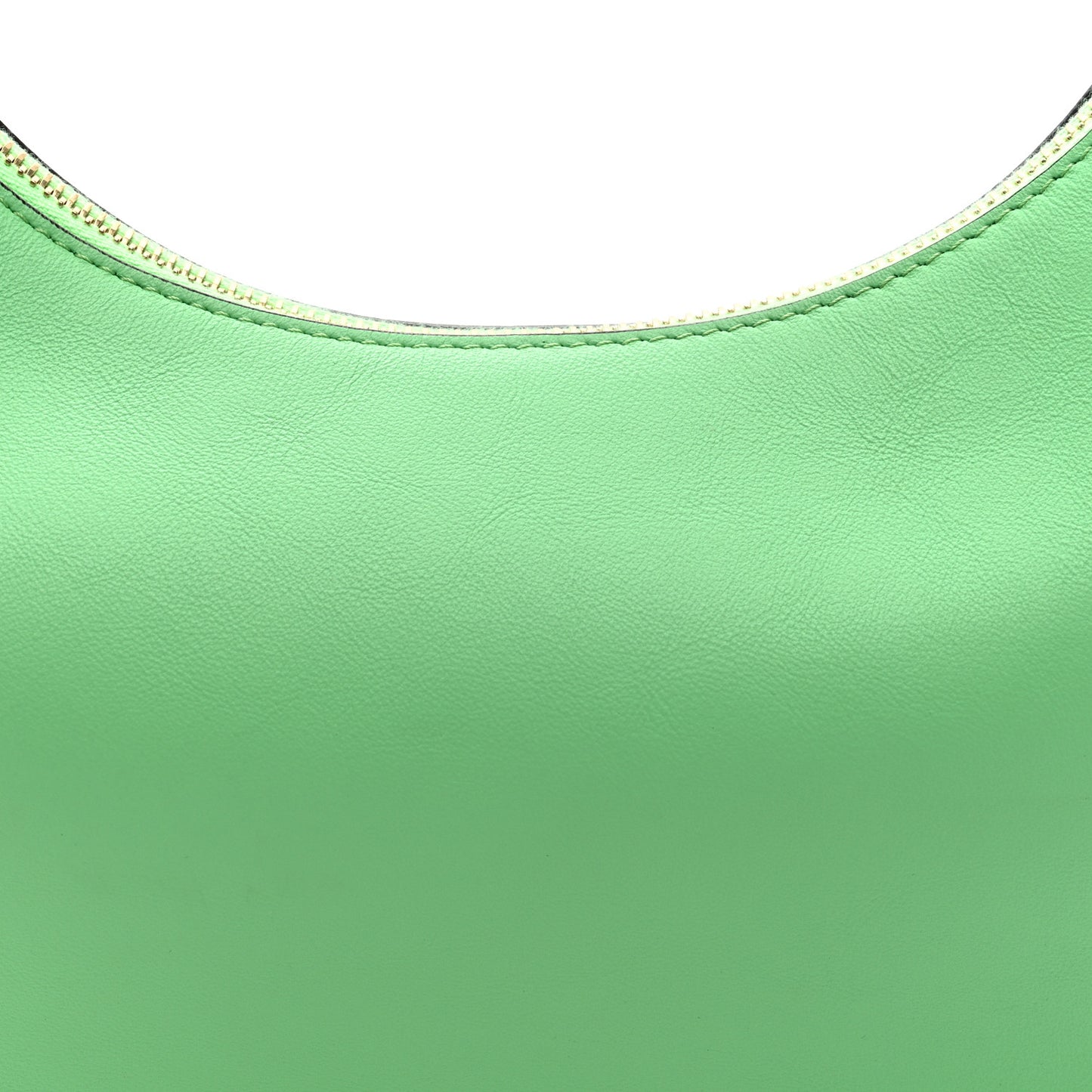 Vitello Grace Matte Small Fendigraphy Hobo Bag Edamame
