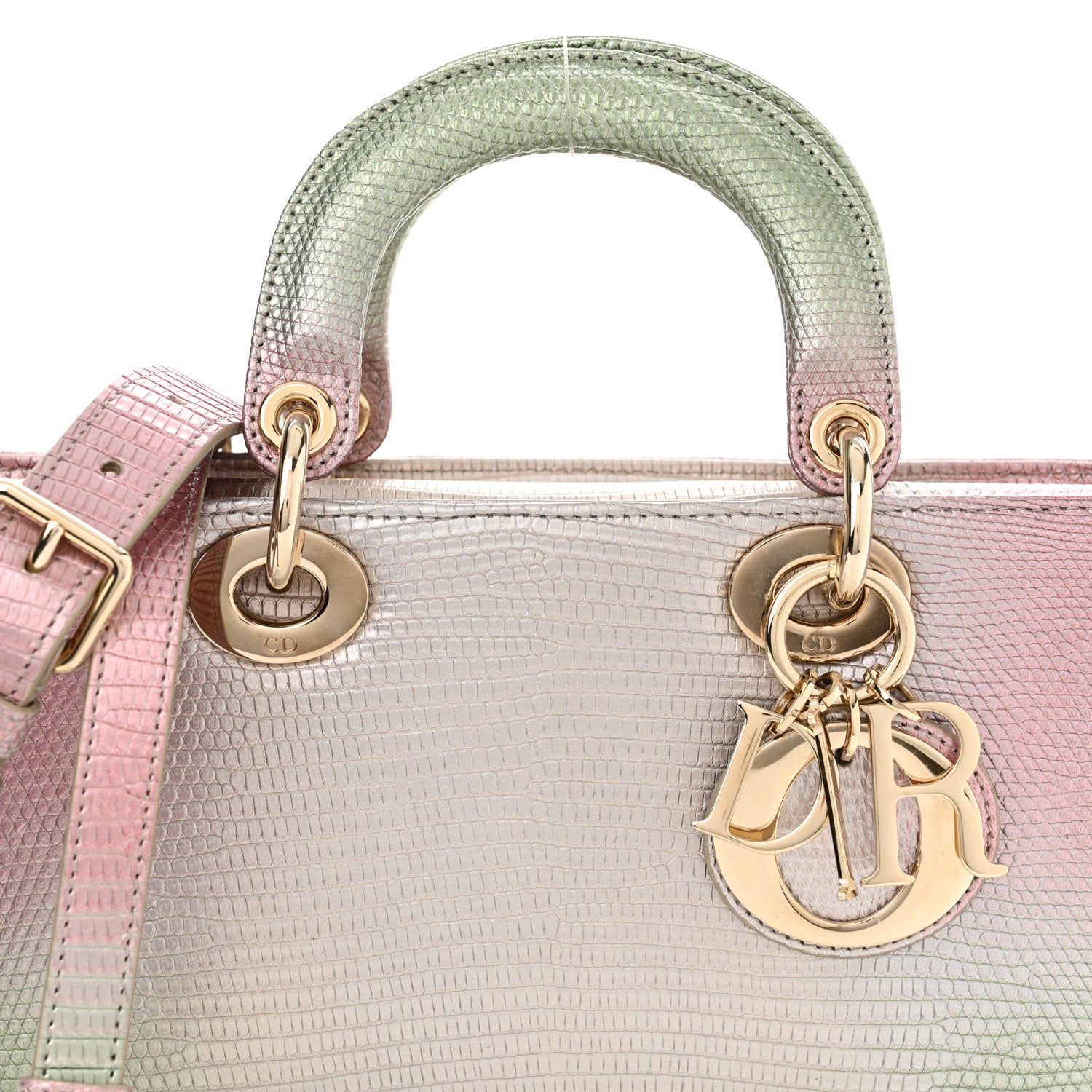 Christian Dior Lizard Gradient Medium Lady D-Joy Light Pink Green 8 of 12