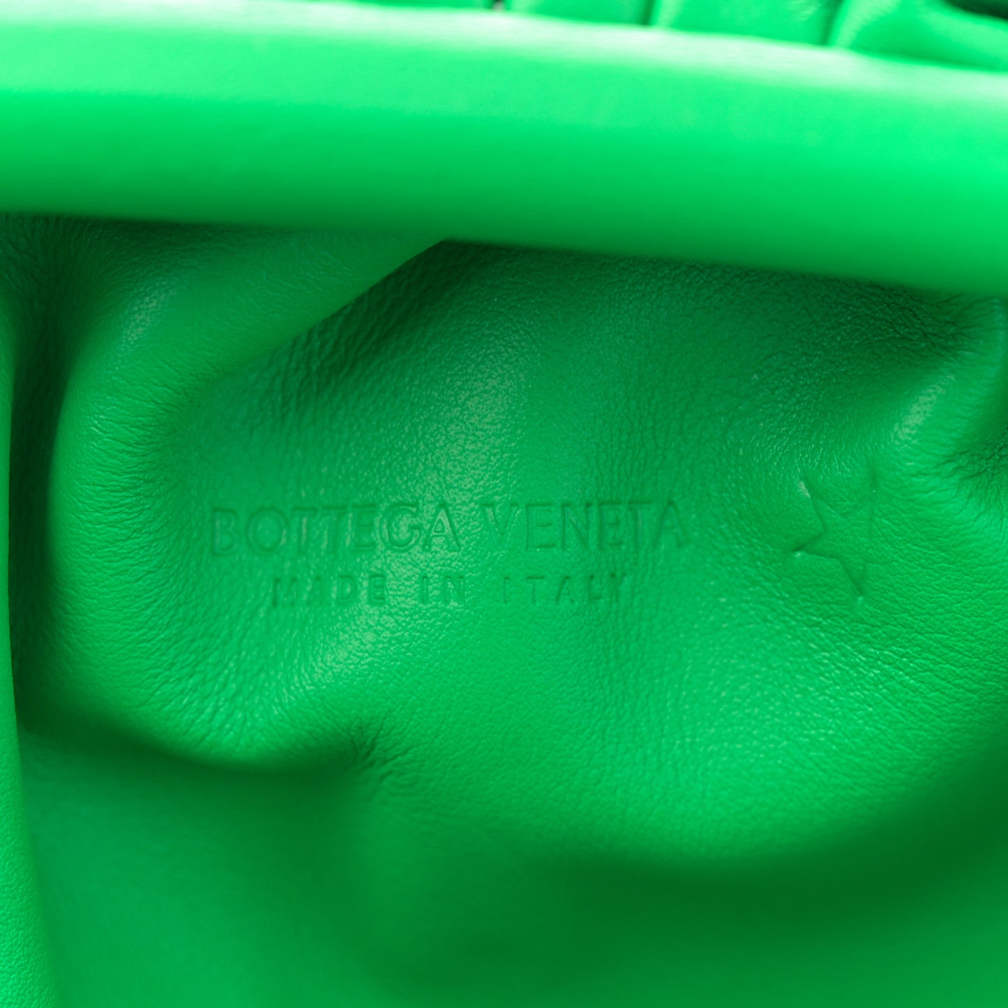 Butter Calfskin The Mini Pouch Parakeet