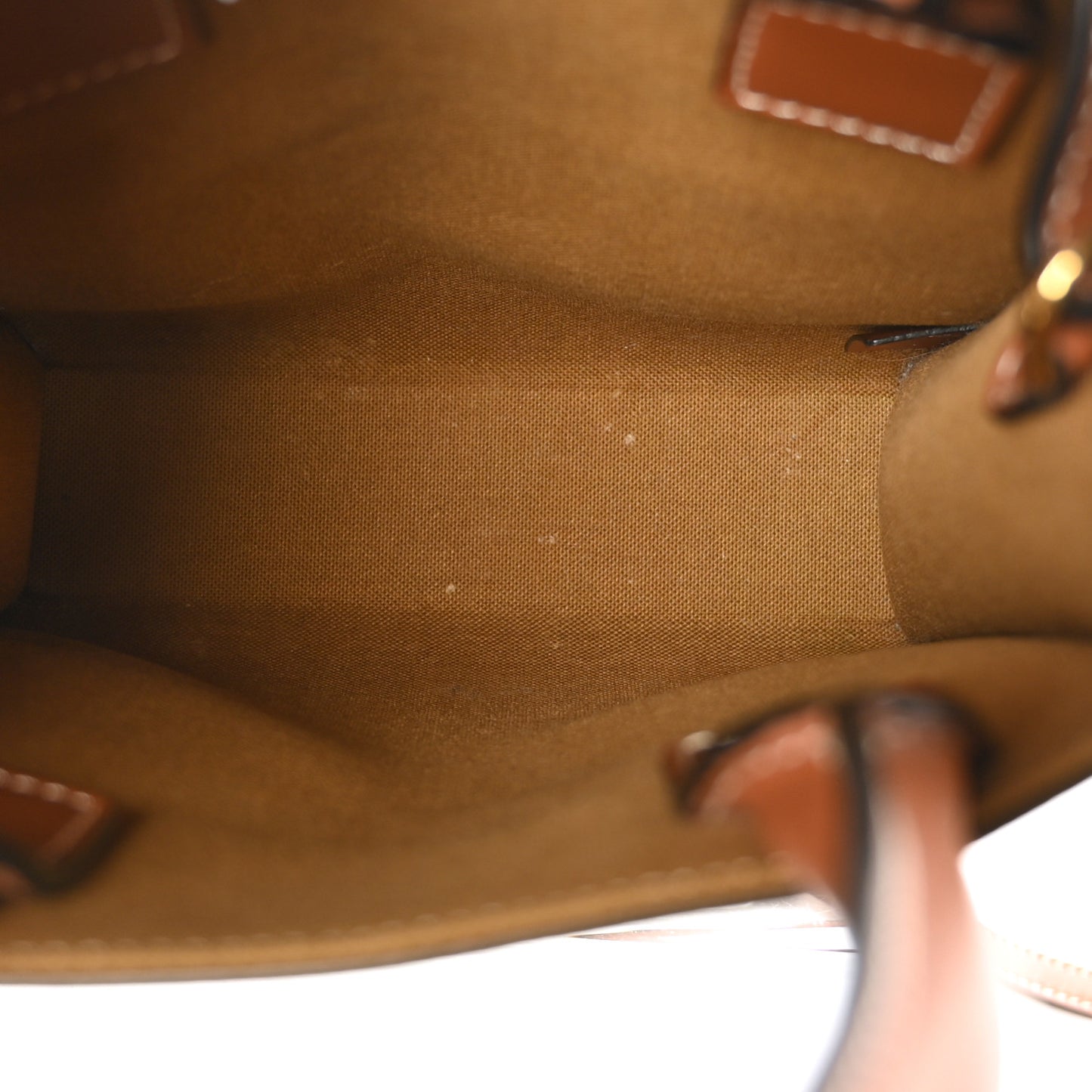 Triomphe Canvas Calfskin Mini Vertical Cabas Tan
