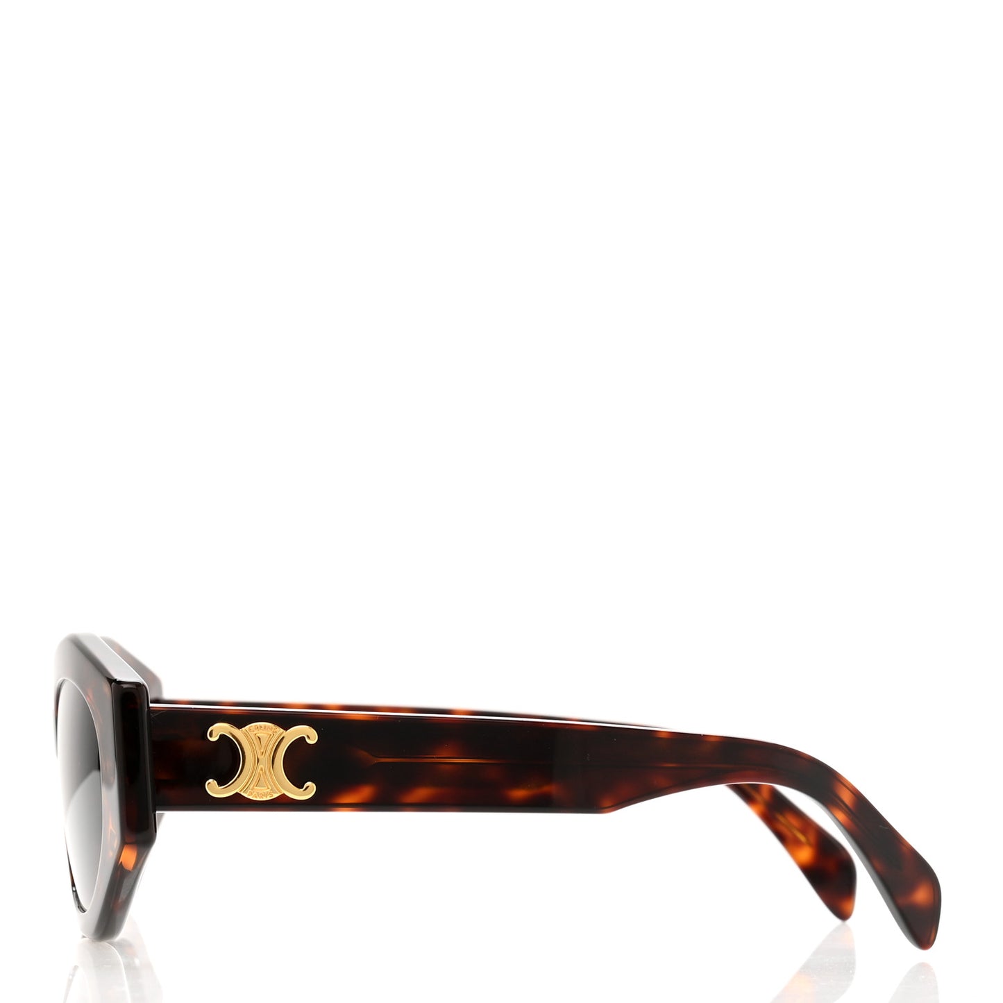 Acetate Triomphe 01 Sunglasses CL 40238U Tortoise