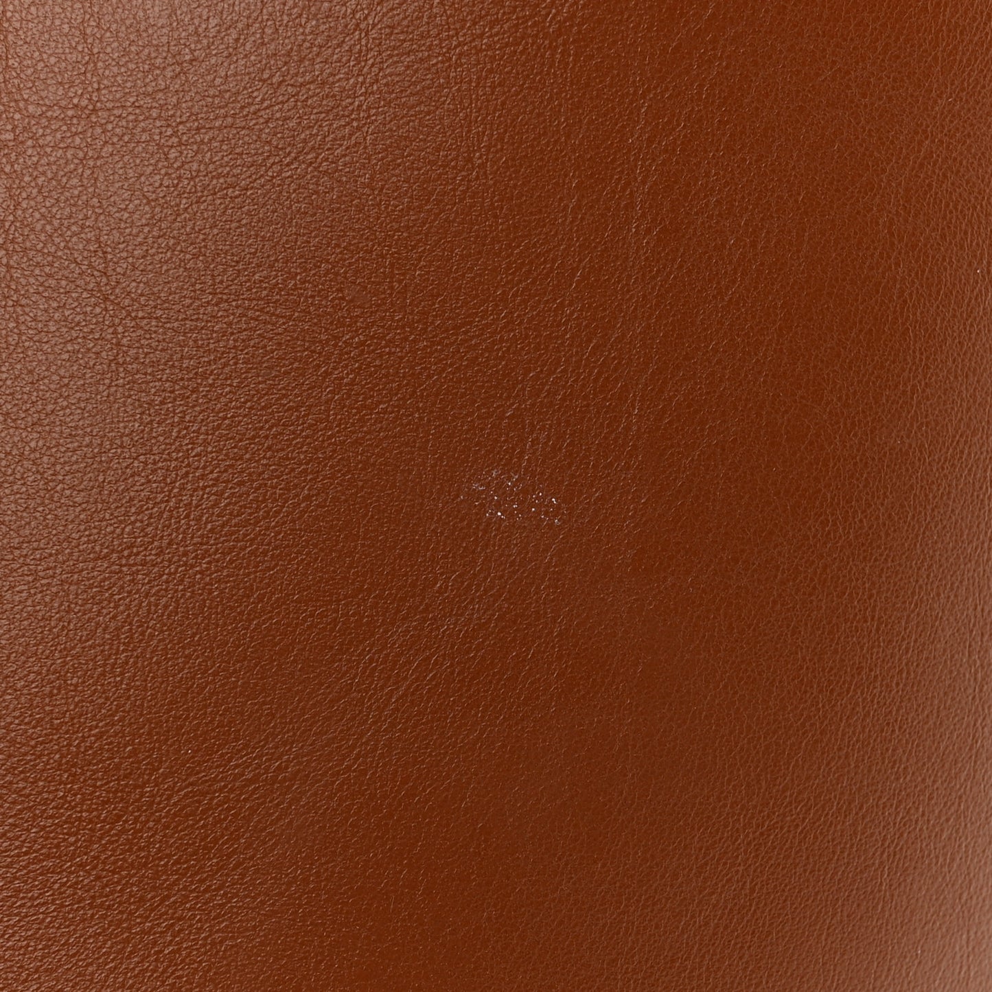 Smooth Calfskin Bucket 16 Bag Tan