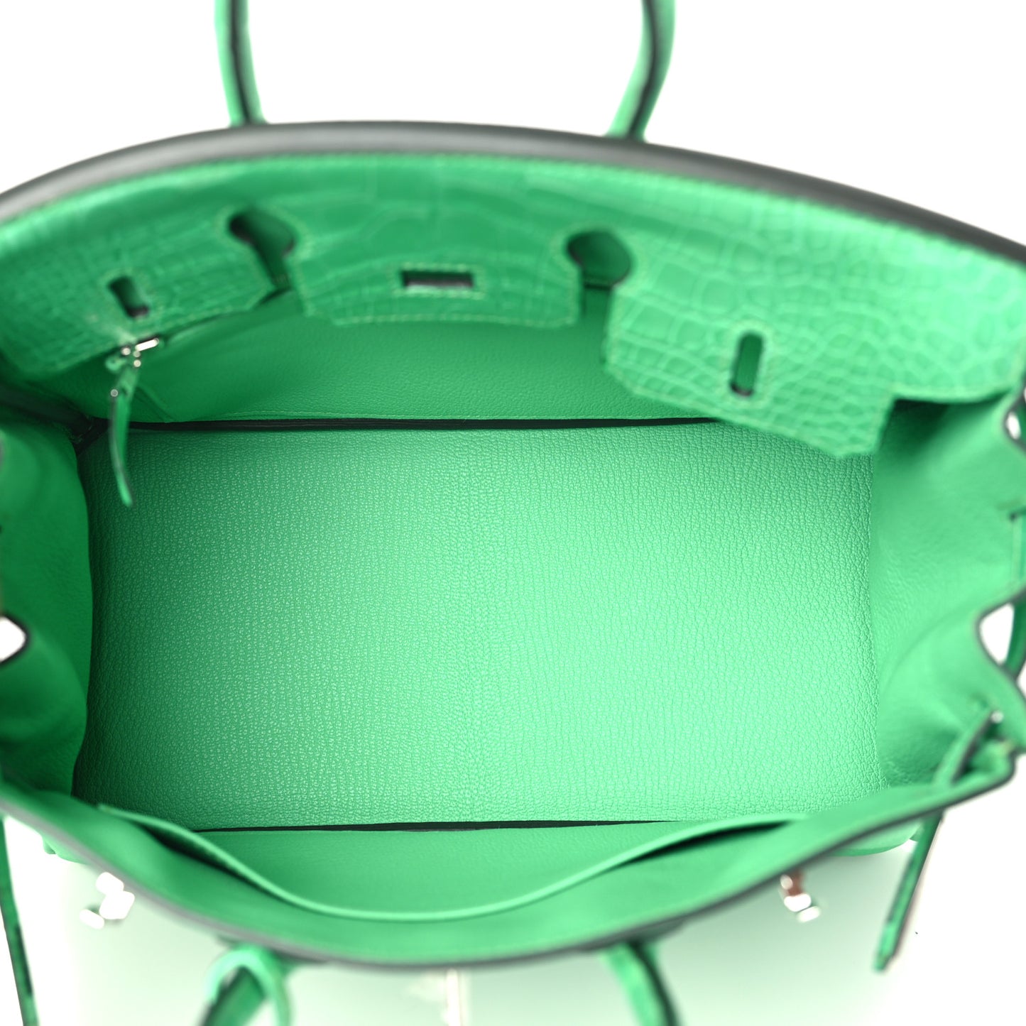 Togo Matte Alligator Birkin Touch 25 Vert Comics