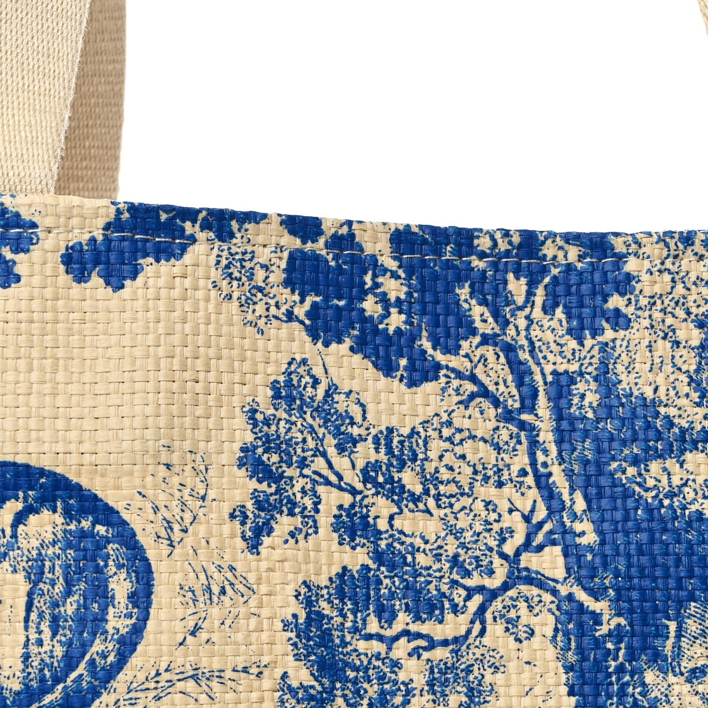 Straw Dioriviera Tote Blue