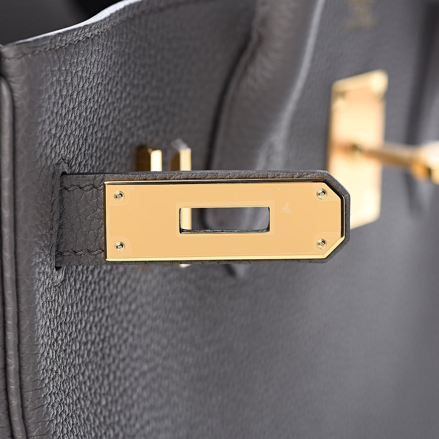 Togo Birkin 30 Etain