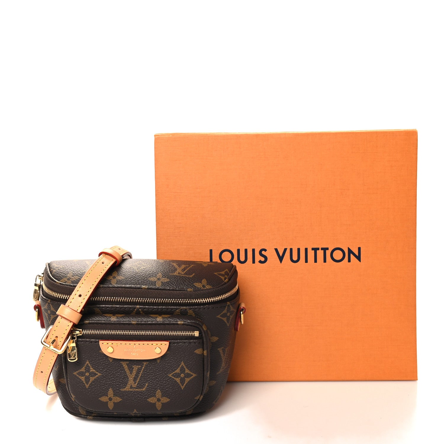 Louis Vuitton Monogram Mini Bumbag 10 of 10