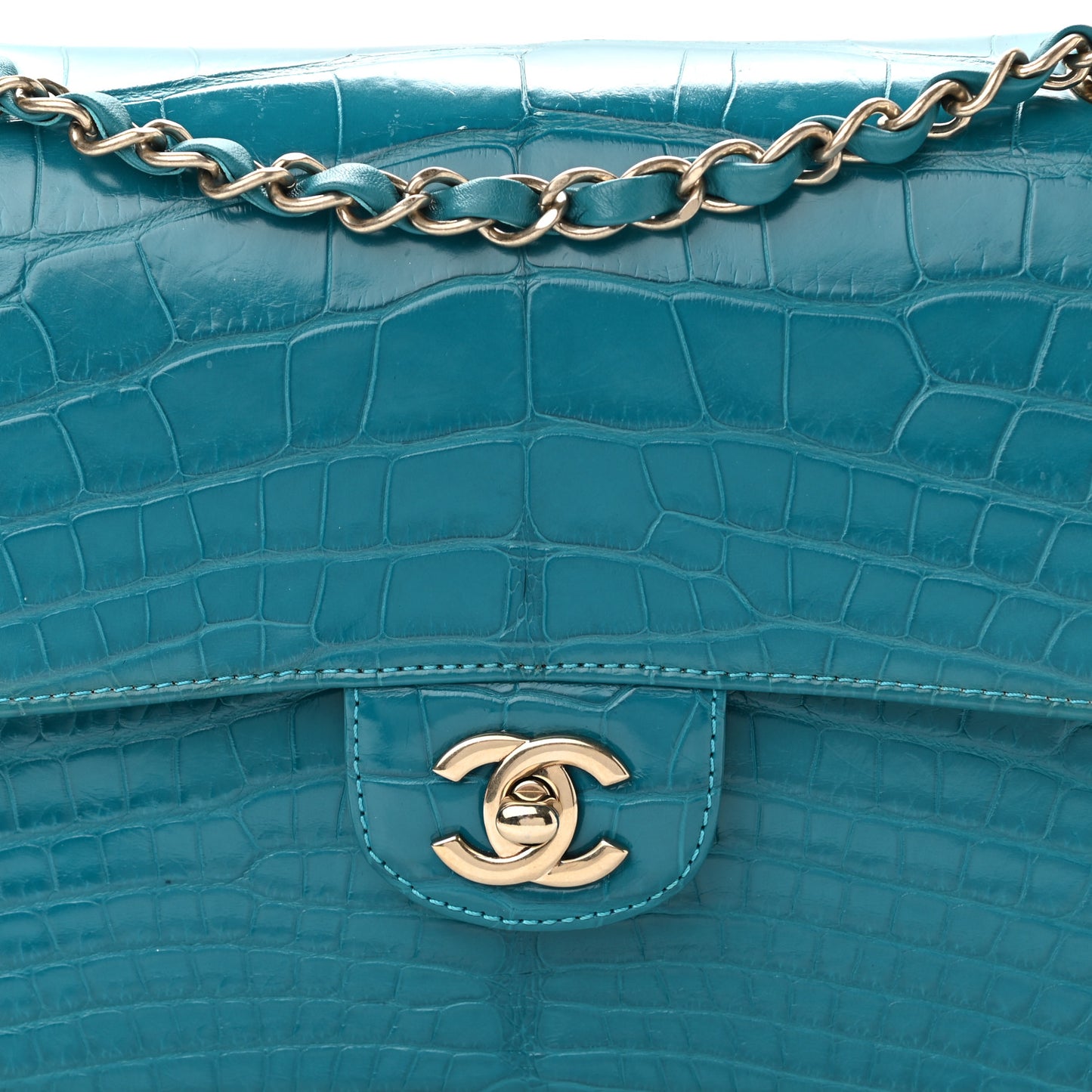 Alligator Medium Double Flap Blue
