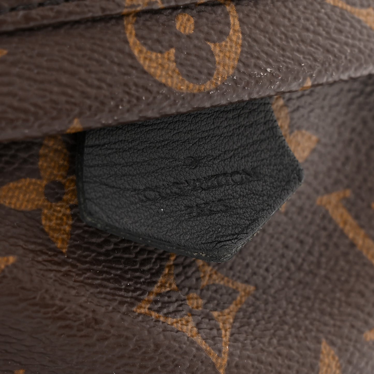 Monogram Palm Springs Backpack Mini