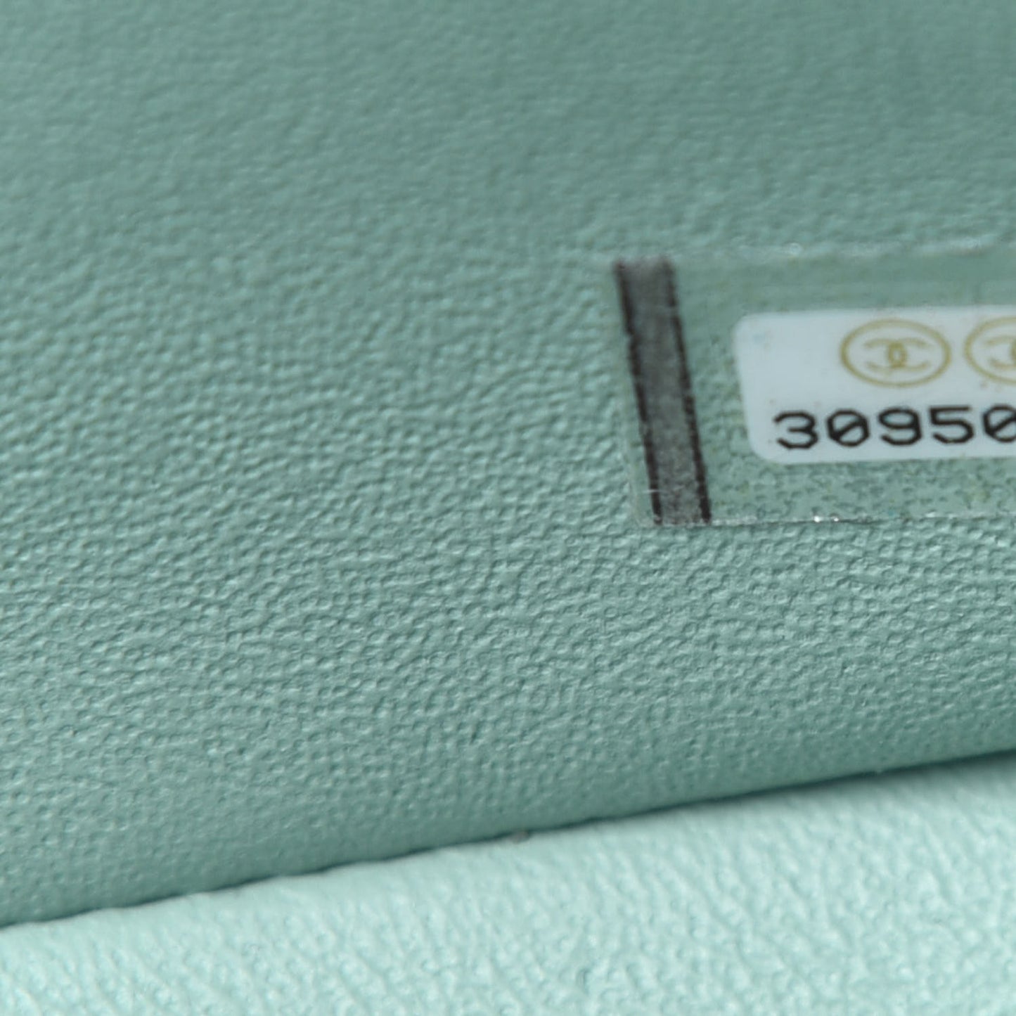 Lambskin Quilted Mini Rectangular Flap Light Green