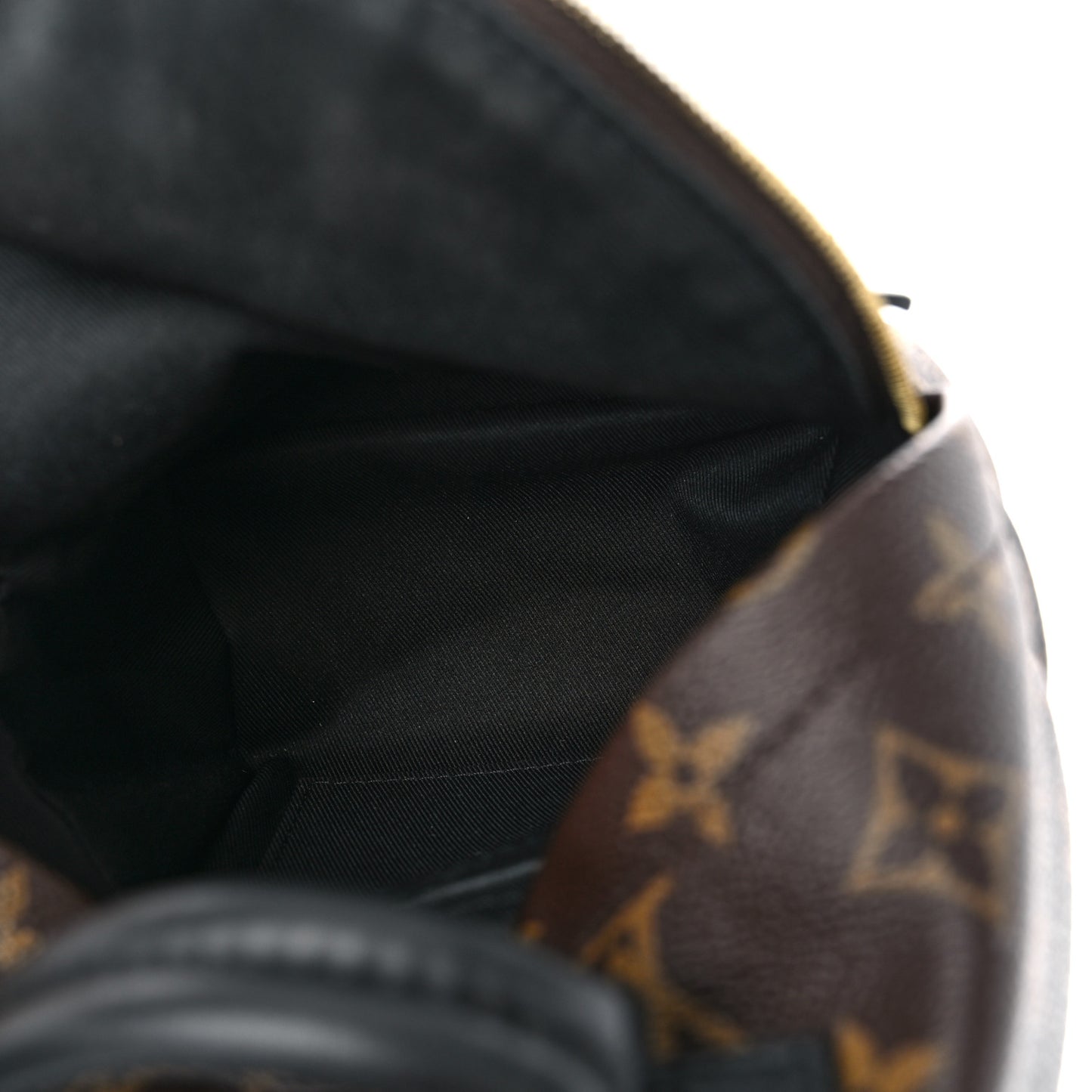 Monogram Palm Springs Backpack Mini