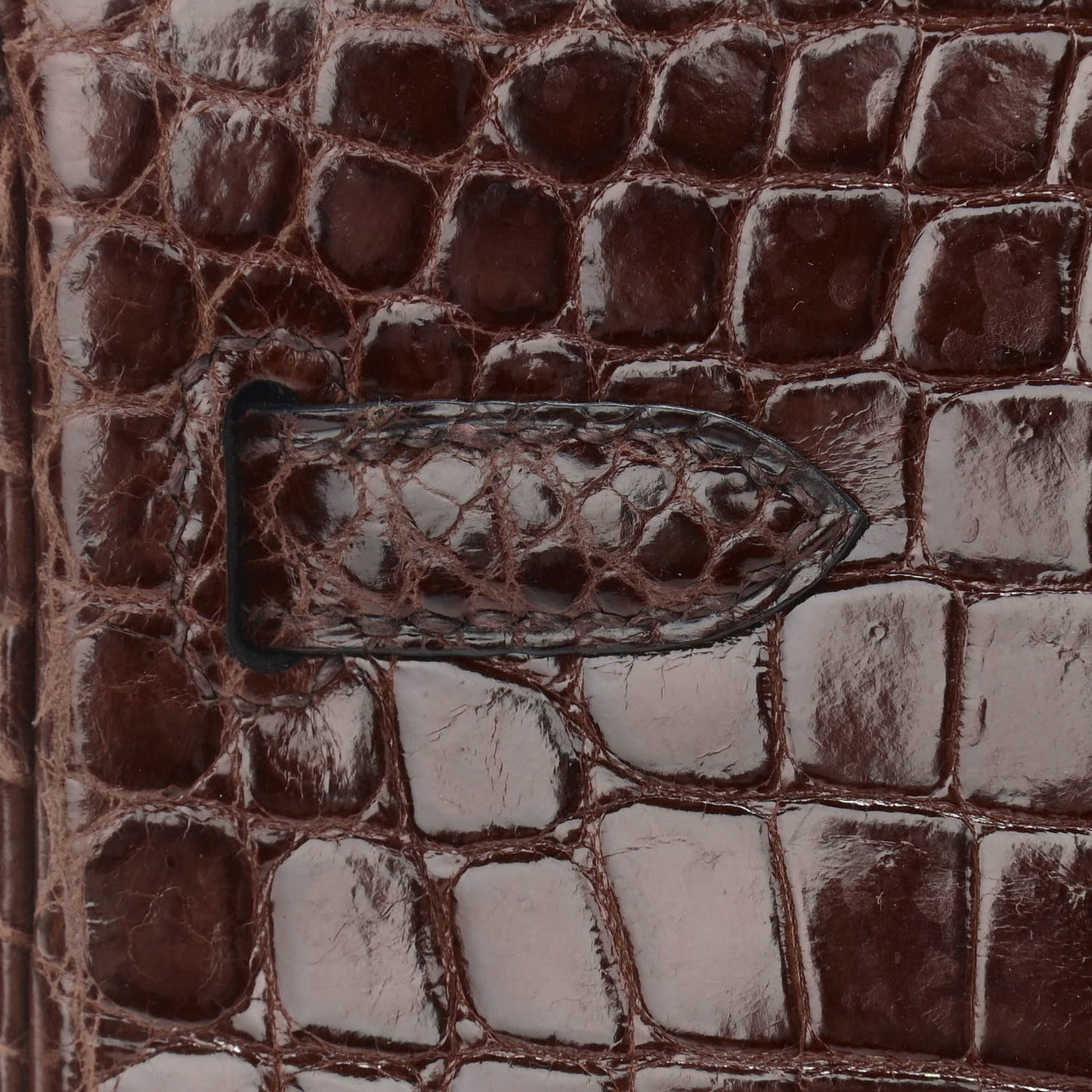 Shiny Niloticus Crocodile Birkin 25 Miel