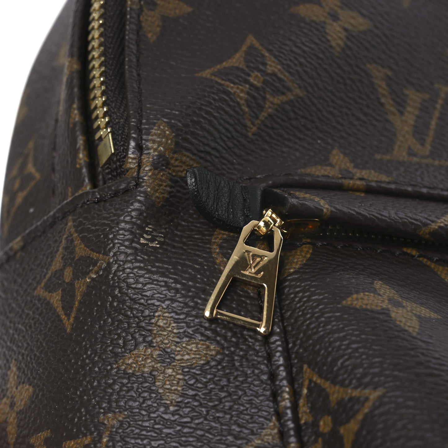 Monogram Palm Springs Backpack PM