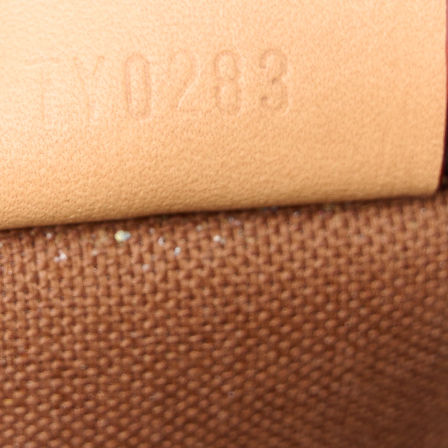 Monogram Nano Speedy