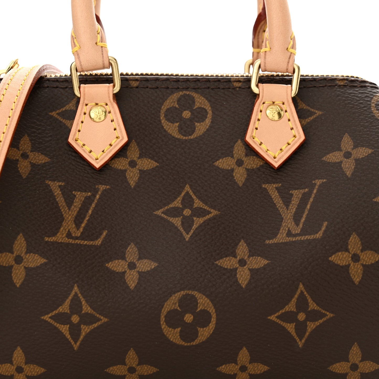Monogram Nano Speedy