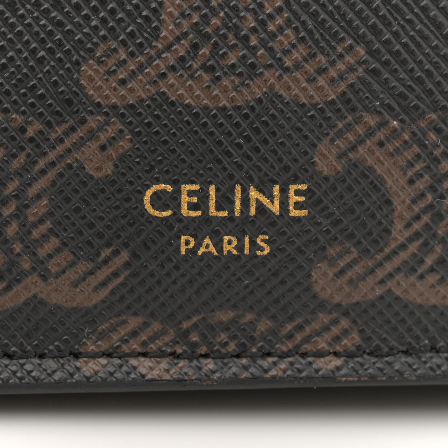 Triomphe Canvas Lambskin Wallet On Strap Tan