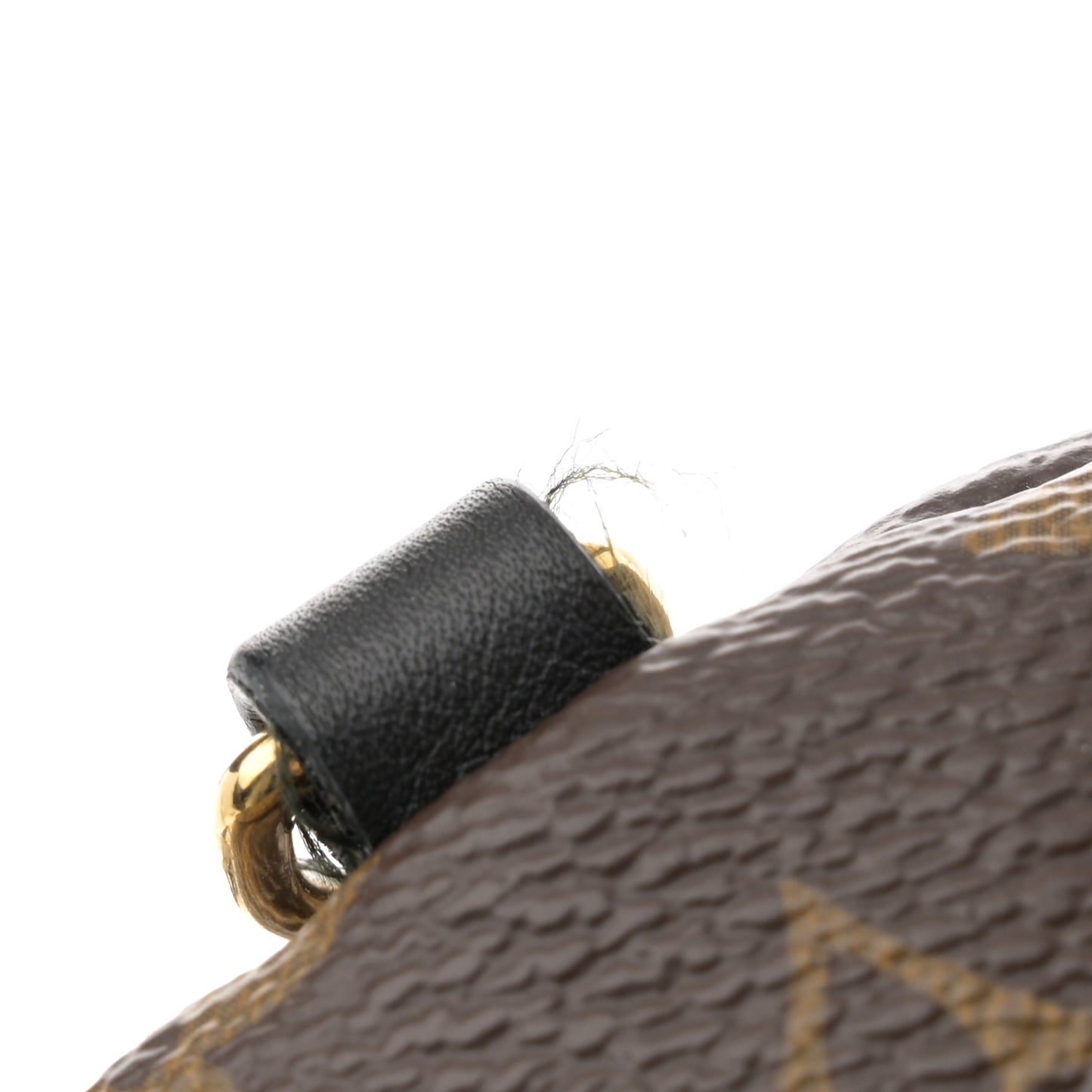 Monogram Palm Springs Backpack Mini