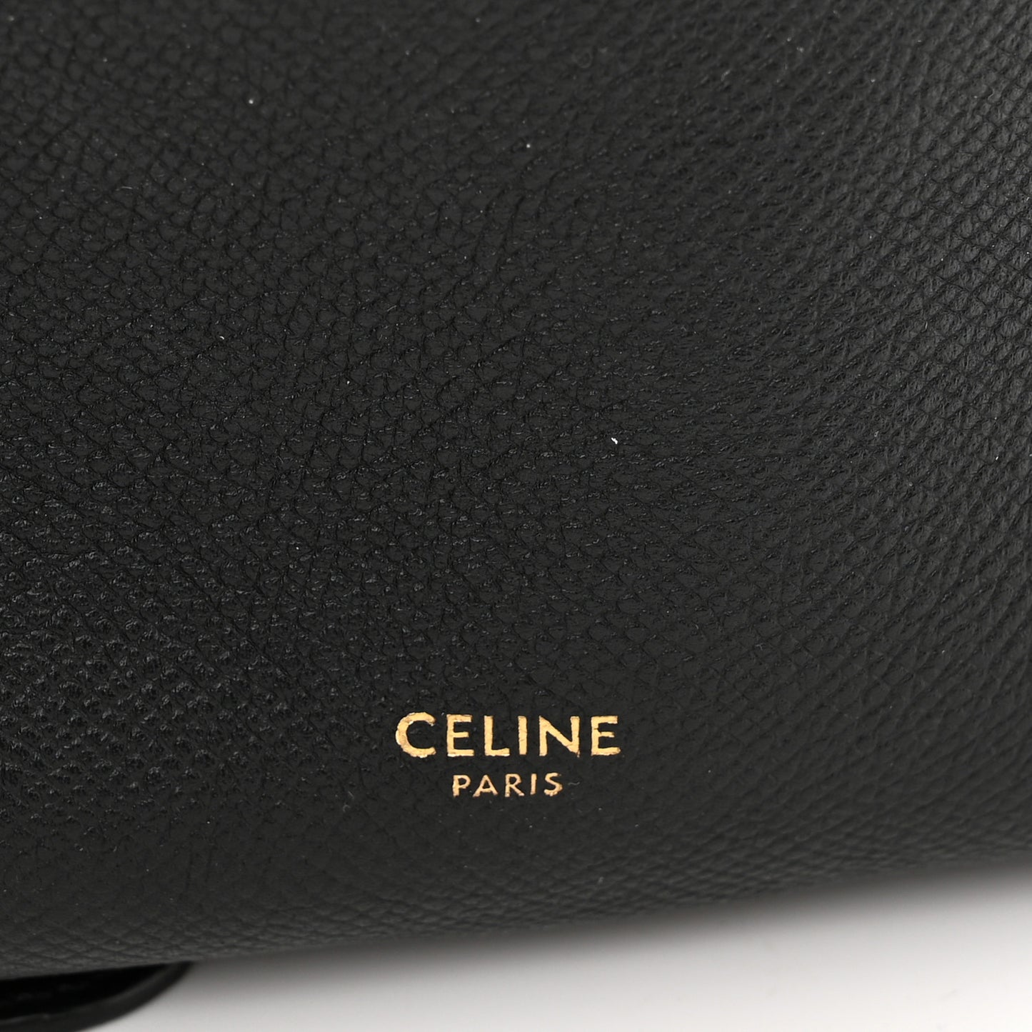 Grained Calfskin Nano Belt Bag Black