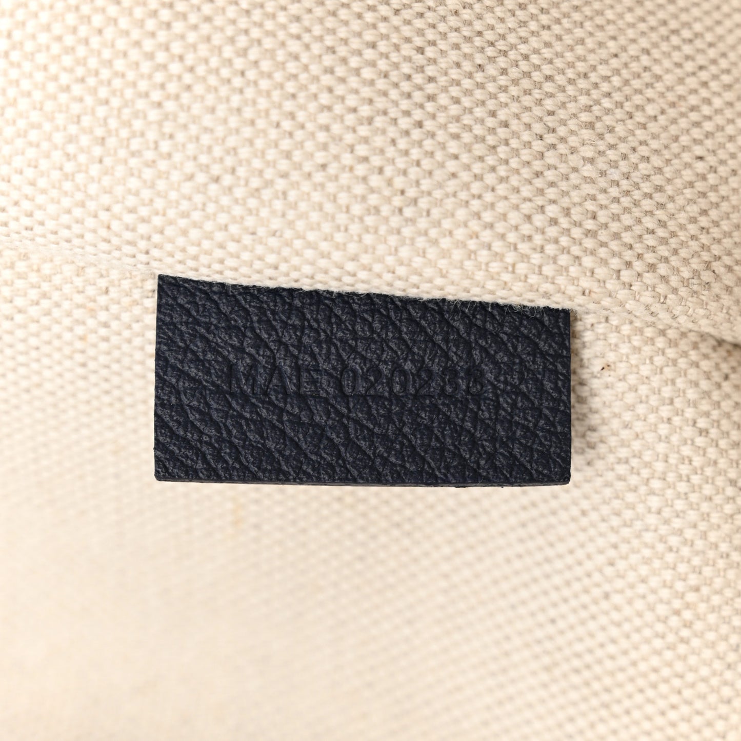 Goyardine Villette Tote Blue