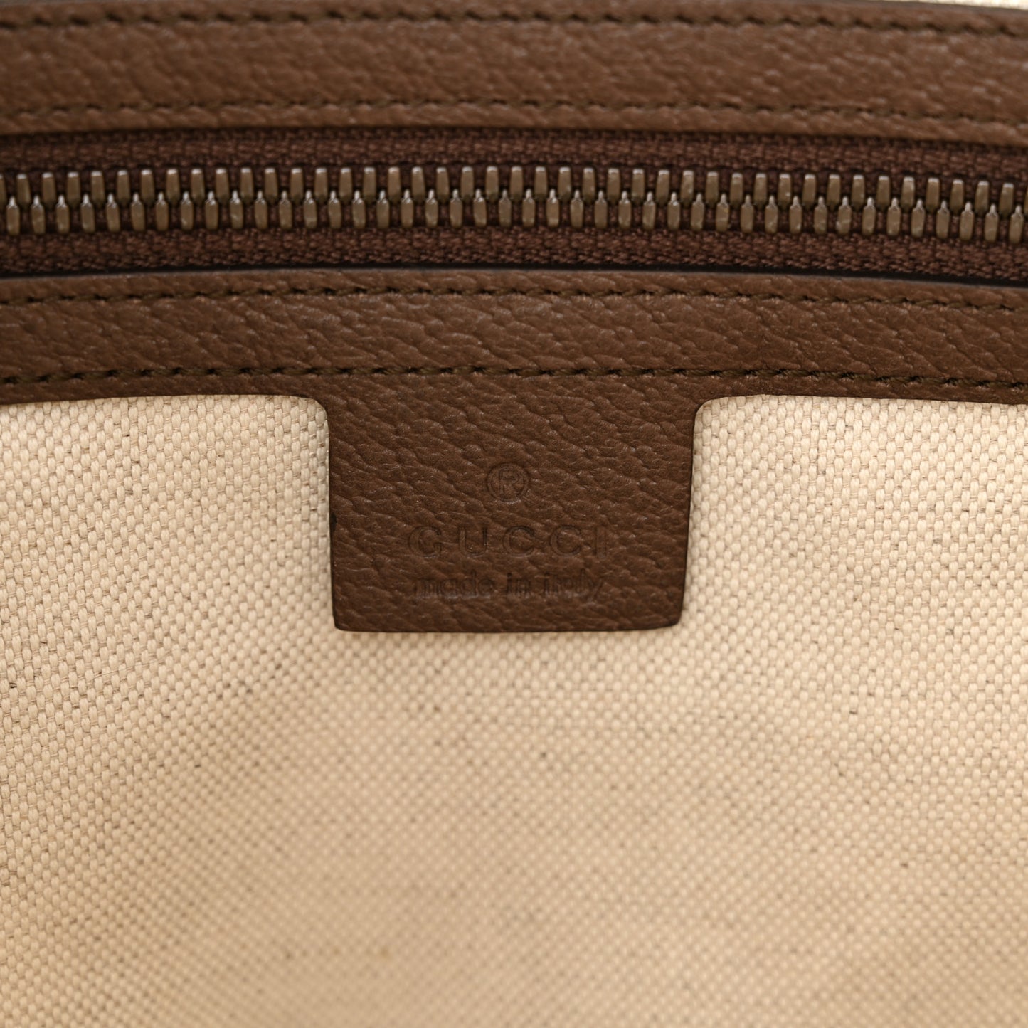 GG Supreme Monogram Web Small Ophidia Half Moon Hobo Brown