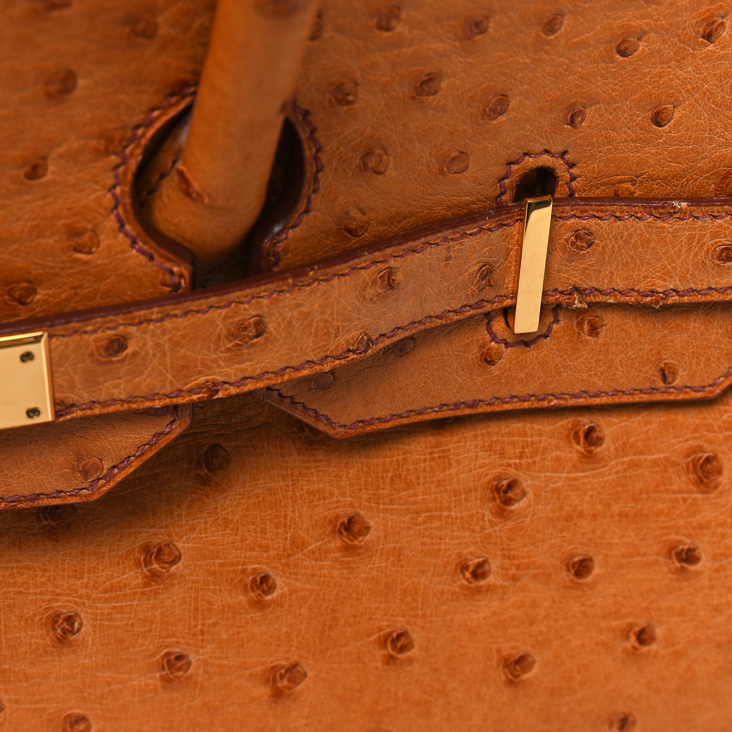 Ostrich Birkin 35 Cognac