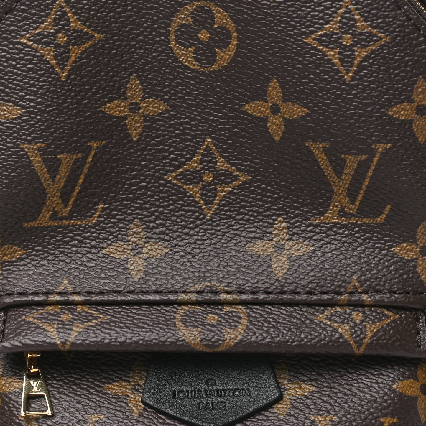 Monogram Palm Springs Backpack Mini