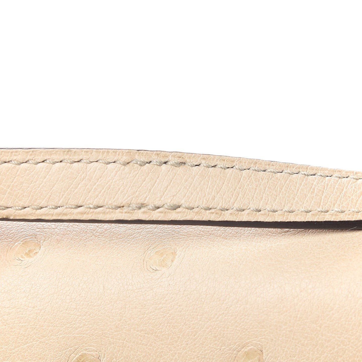 Ostrich Constance 18 Parchemin