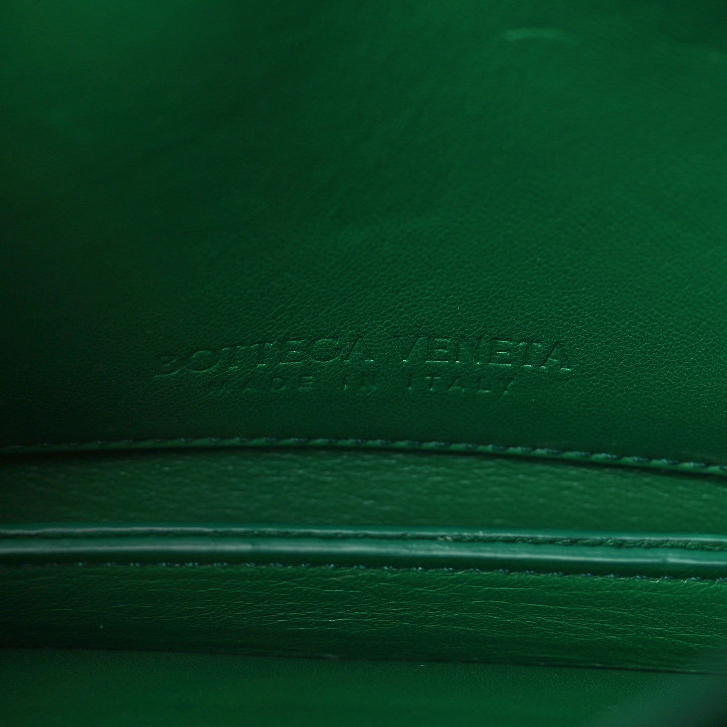 BOTTEGA VENETA Calfskin Mount Envelope Bag Jungle