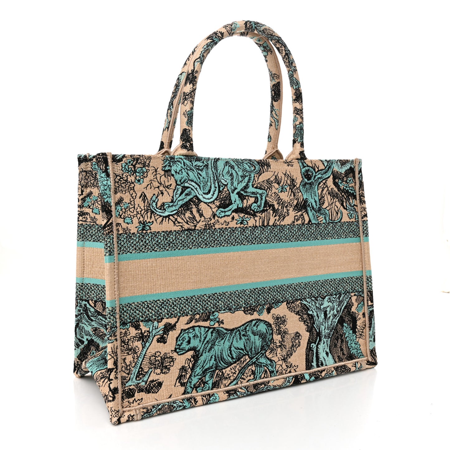 Raffia Embroidered Dioriviera Medium Book Tote Aquamarina