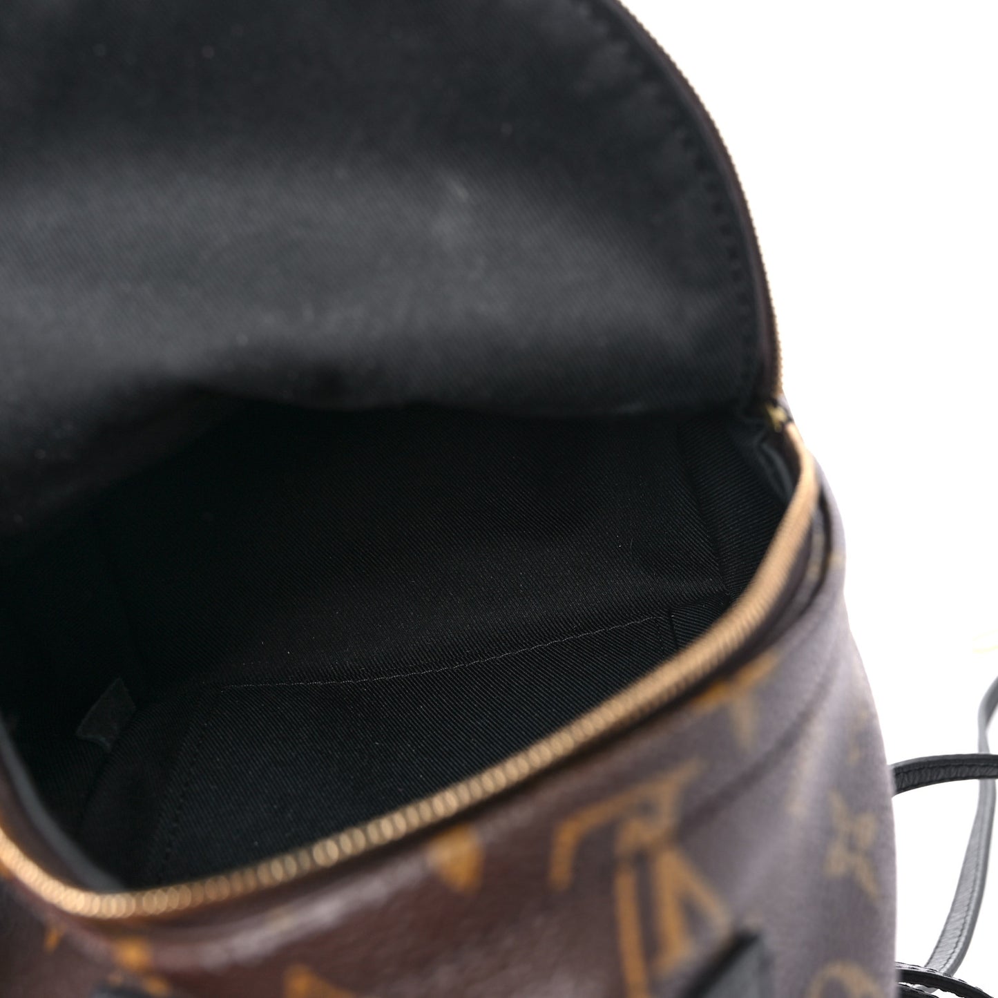 Monogram Palm Springs Backpack Mini