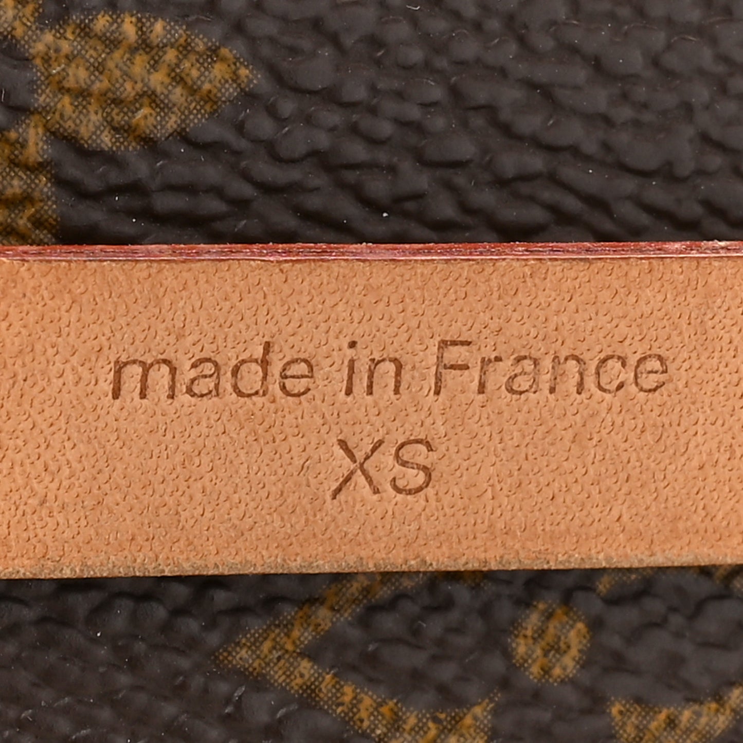 Monogram Pochette Florentine XS
