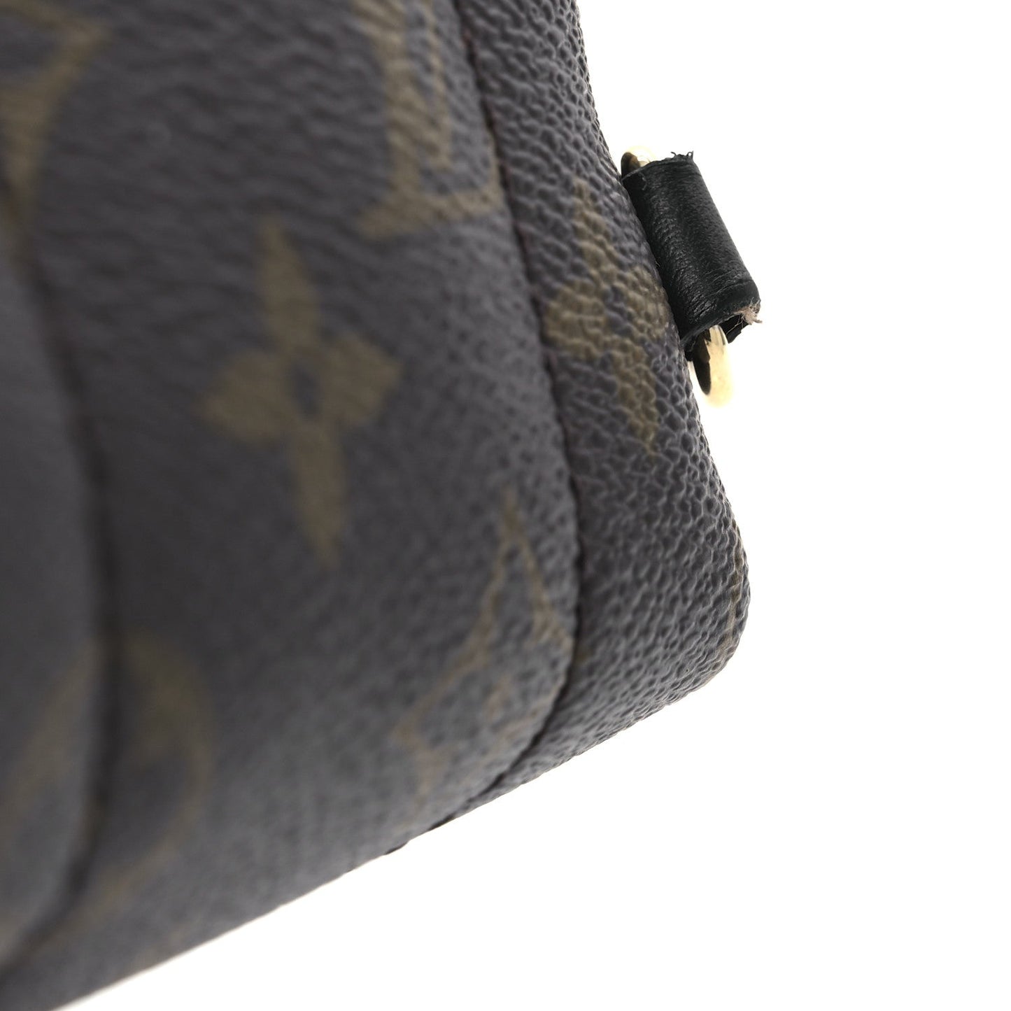 Monogram Palm Springs Backpack Mini