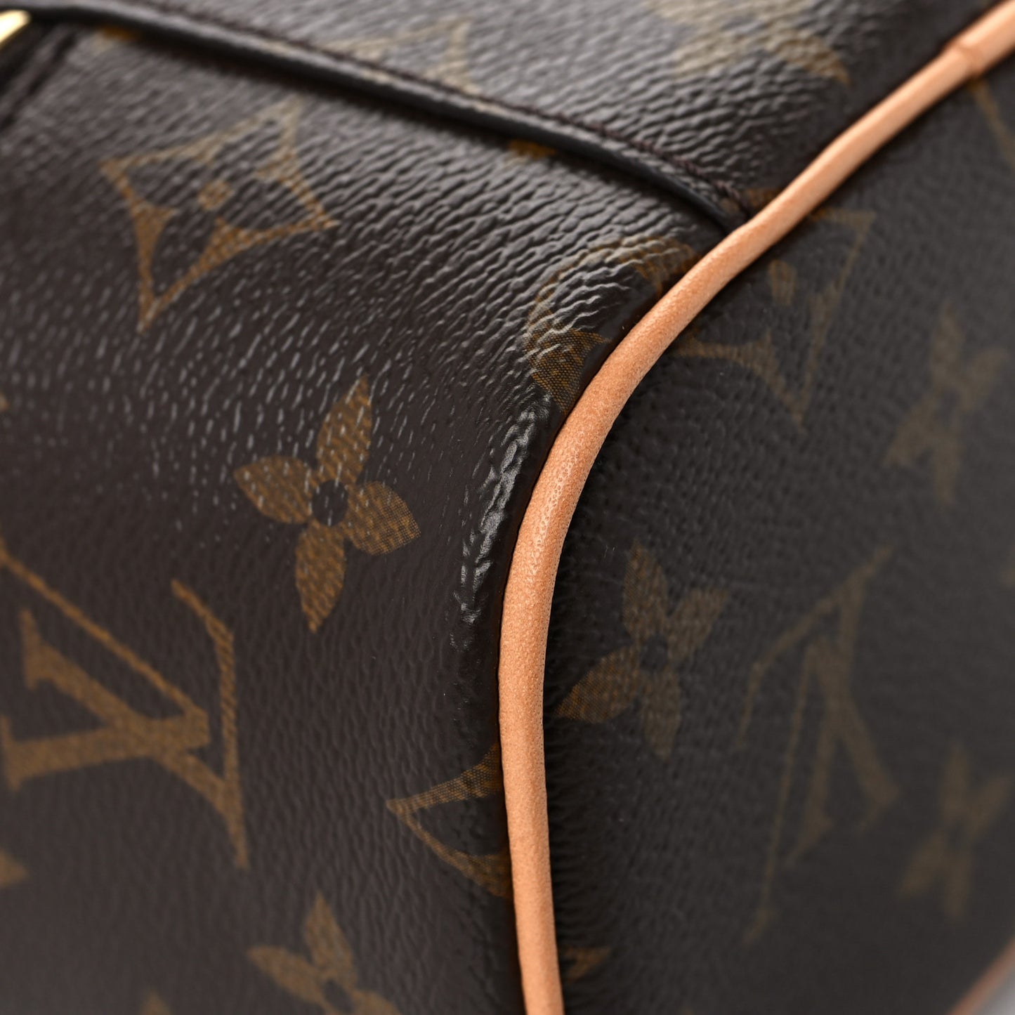 Monogram Nano Nice