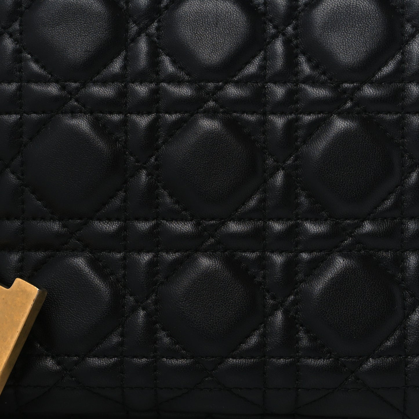 Lambskin Cannage DiorQuake Pouch Black
