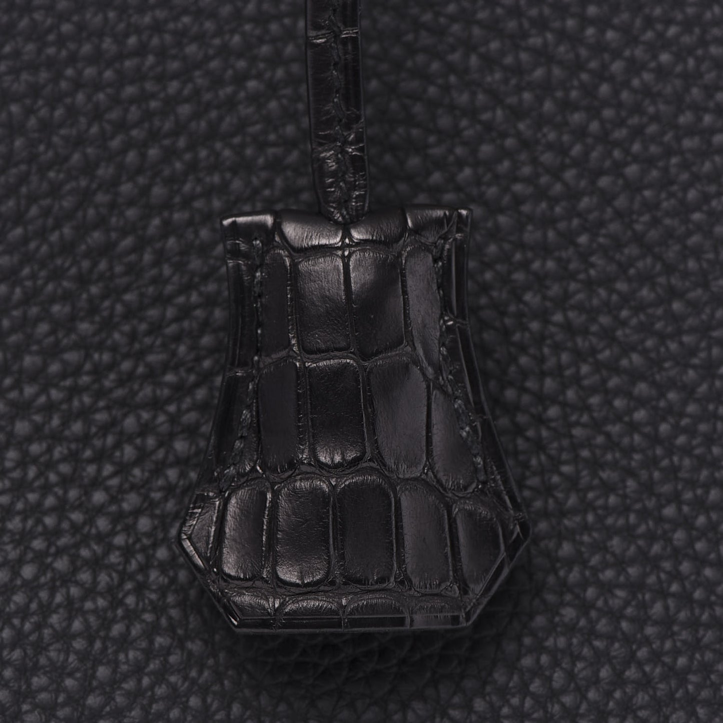 Togo Matte Alligator Birkin Touch 30 Black