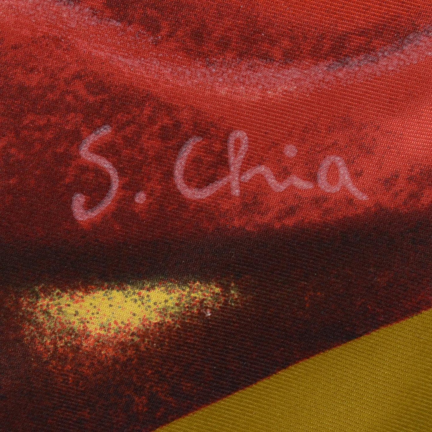 Silk Scarf S. Chia